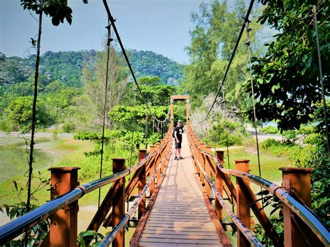 Penang National Park and the Meromictic Lake at Pantai Keracut • Mind ...