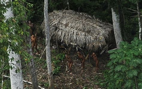 Uncontacted Amazon tribes endangered in Peru, Brazil -indigenous group ...