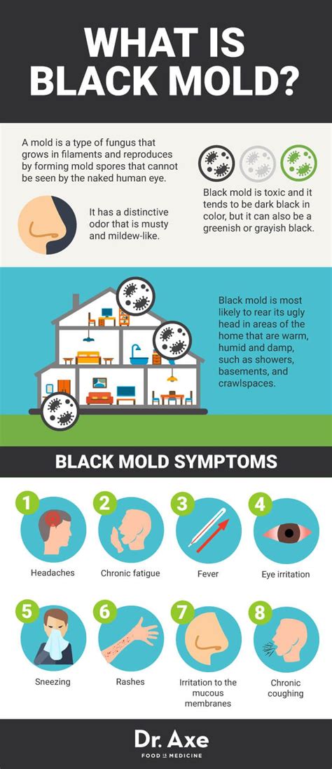 Black Mold Toxicity Symptoms - blackjulc