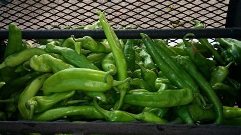 New Mexico Green Chile Advertising Act - Texas Agriculture Law