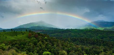 In Pics: India At Its Picturesque Best During Monsoon