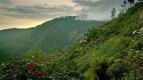 Jamaica Blue Mountains 1992 | Visit jamaica, Beach honeymoon ...