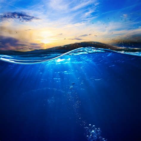 half over half under water - Google Search | Water photography, Ocean ...