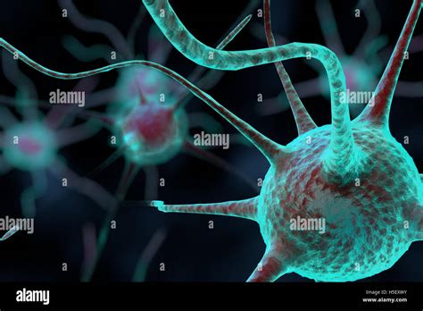 3d nerve cell Stock Photo - Alamy