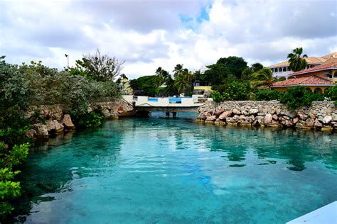 A Fun Day at Curacao Sea Aquarium – CLOSET FULL OF DREAMS