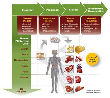 Identifying Cardiotoxic Compounds