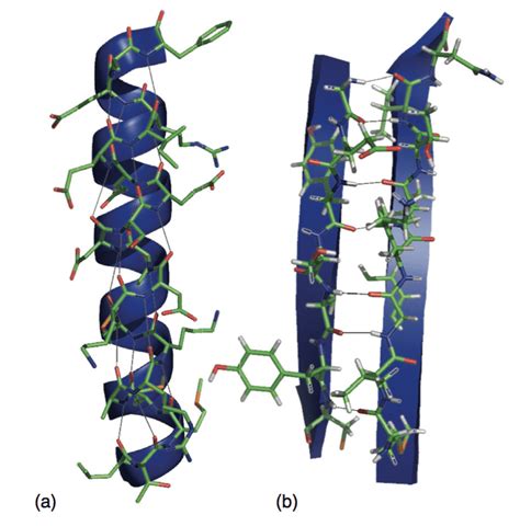 The Most Marvelous Macromolecule Jeopardy Game! Jeopardy Template