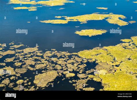 Salt pans of Cervia Stock Photo - Alamy