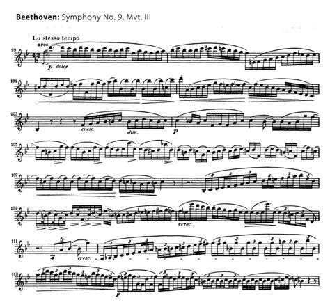 Violin: Beethoven: Symphony 9 mvt. III (mm. 99-114) – Orchestra Excerpts