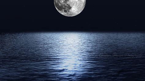 Full moon over the sea. background Rose Boyle, rec max HD wallpaper ...