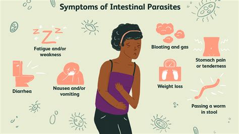 What Are The Symptoms Of Hookworms In Humans - kawevqlocation