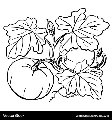 pumpkin with vines drawing - howtowearanklebootswithpants