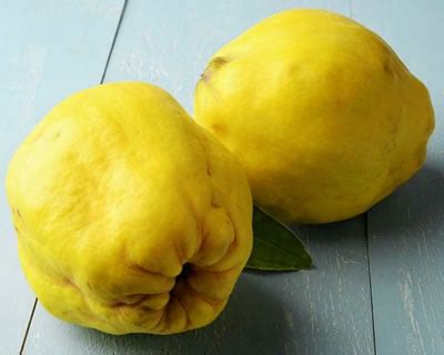 What is Quince Fruit? The Secret Food of Fall + Quince Fruit Recipes