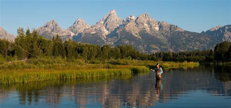 11 Best Fly Fishing Places In Wyoming