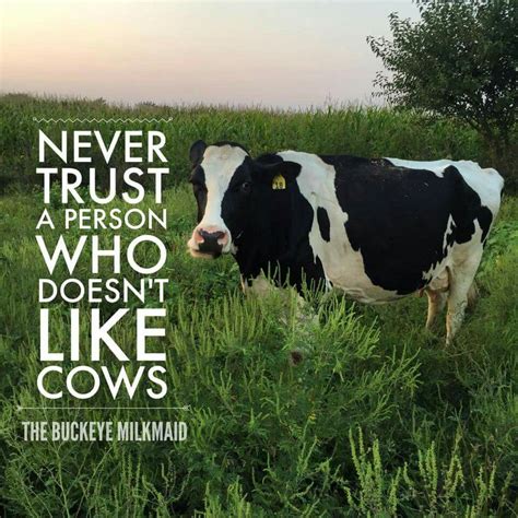 Cow Quotes - ShortQuotes.cc