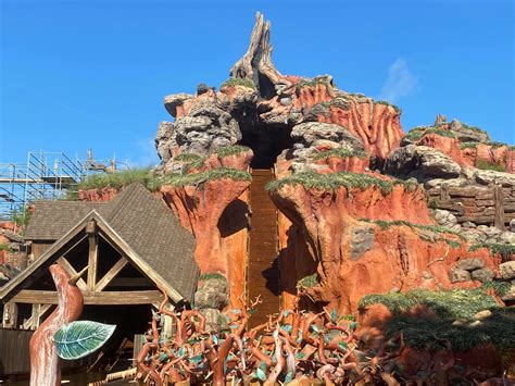 Splash Mountain Evacuates Guests, Drains Slide Again - MickeyBlog.com