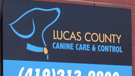 Lucas County Canine Care & Control offering free adoptions for weekend