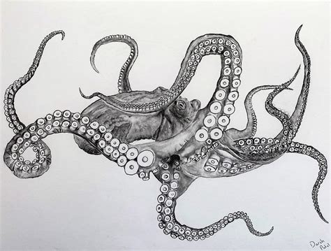 Octopus Drawing by Darsh N Patel - Pixels