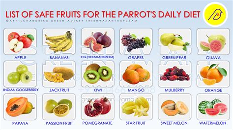 Parrot Chop, Conure Parrots, Sun Conure, Parrot Food Recipe, Diy Bird ...