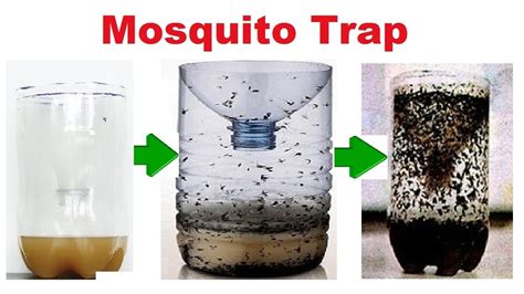 Homemade Mosquito Trap Without Yeast