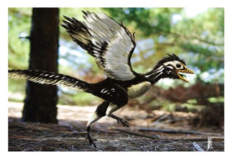 Facts About Archaeopteryx, the Famous "Dino-Bird"