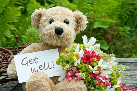 Get Well Soon Teddy Bear With Flowers Stock Photo - Download Image Now ...