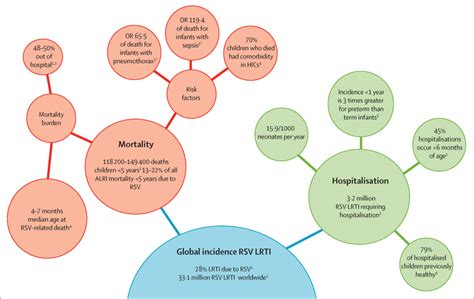 The respiratory syncytial virus vaccine landscape: lessons from the ...