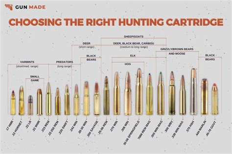 Rifle Caliber Chart Guide: Choosing The Right Caliber, 50% OFF