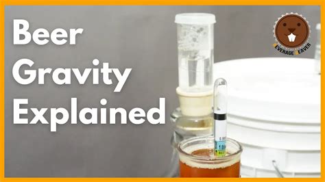 Beer Gravity Explained | Brewing Essentials - BeverageBeaver.com