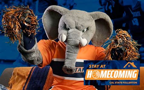 Stay at Homecoming: Virtual Titan Community Celebration | CSUF News