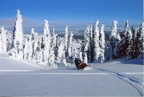 Complete Guide to Snowmobiling in West Yellowstone