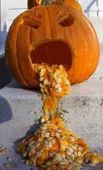 Funny Halloween Pictures