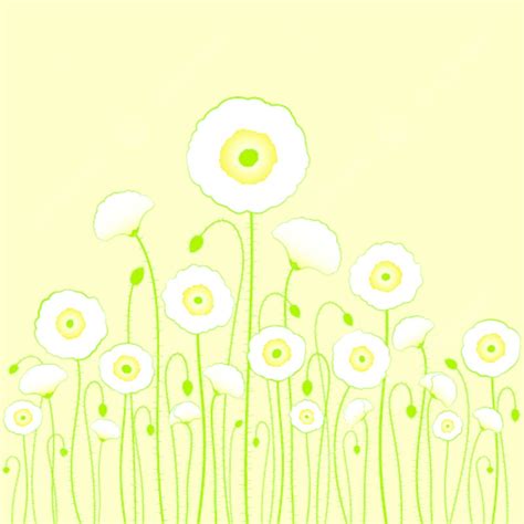 White Poppy On Yellow Background Background Flower Poppy Vector ...