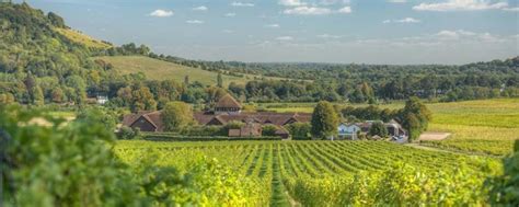 Denbies Vineyard Hotel Review, Dorking, Surrey | Travel