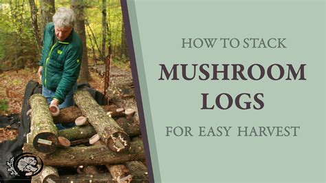 How to Stack Mushroom Logs for Easy Harvest - YouTube