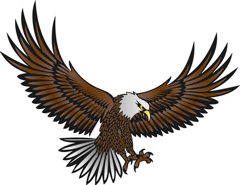 Bald Eagle Logo Png Eagle Logo Transparent Background 679x710 PNG ...