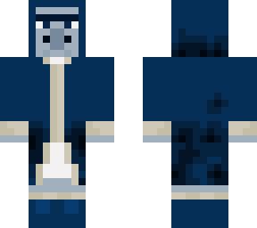 Who else voted for the Iceologer??? | Minecraft Skin