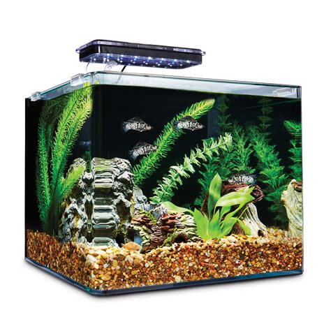 Imagitarium Frameless Freshwater Aquarium Kit, 6.8 GAL | Petco