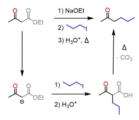 Example of Acetoacetic Ester Synthesis | Ester, Synthesis, Chemistry