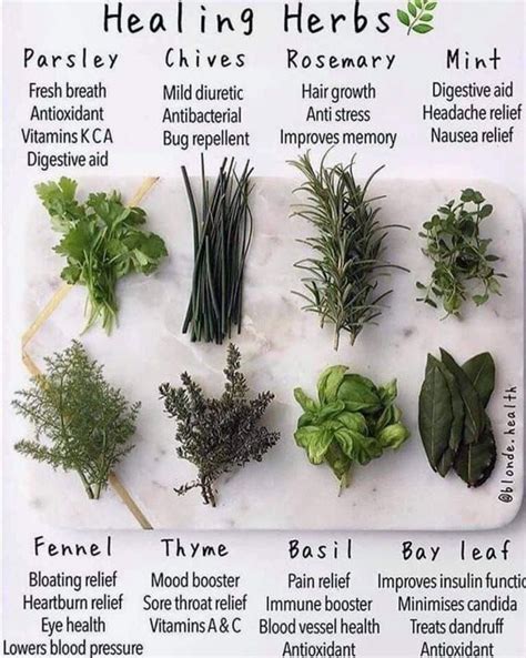 Pin by wtf on NATURAL REMEDIES | Healing herbs, Herbs, Magic herbs