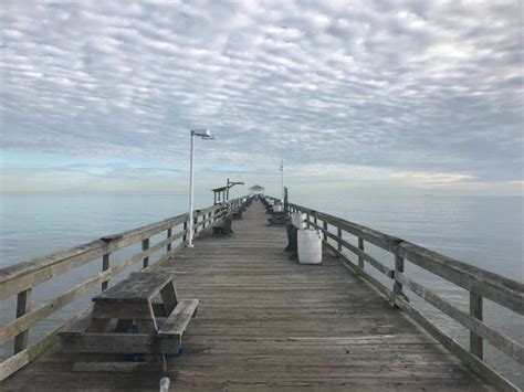 Ocean View Fishing Pier Report - Unique Fish Photo