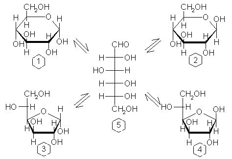 Glucose