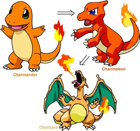 √ Orange Pokemon With Fire Tail