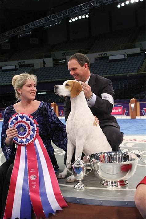 17 Winning Show Dogs: AKC National Championship Winners ‪Phoenix dog ...