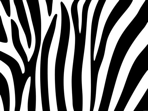 Zebra stripes design - PSDgraphics