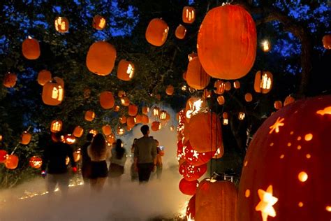 Experience Pumpkin Pandemonium At This Enchanting Austin Farm For ...