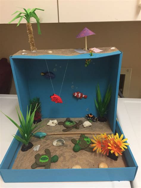 Sea Turtle Diorama Ideas | Images and Photos finder