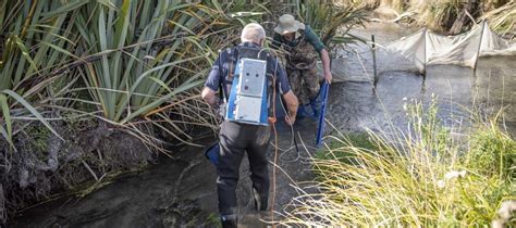 Innovative electric barrier protects mudfish habitat | Environment ...