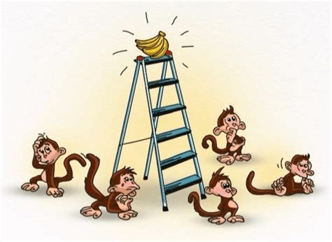 5 Monkeys Experiment: Dysfunctional Herding - Richard Coward