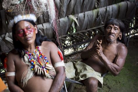 Illegal logging and hunting threaten Yasuní isolated indigenous groups